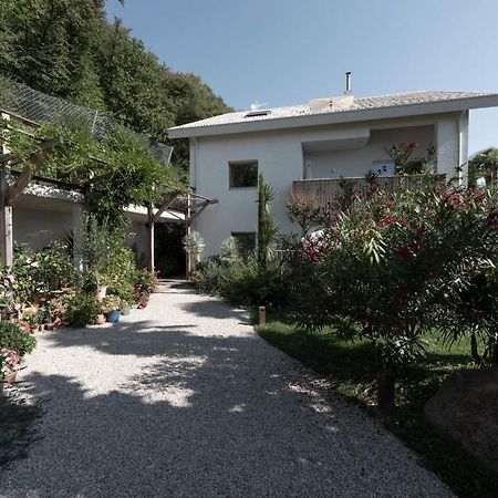 Apartamento La Loggia Georg Pianizza di Sopra Exterior foto